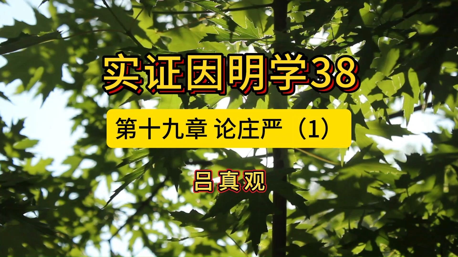 实证因明学38第十九章 论庄严(1)哔哩哔哩bilibili