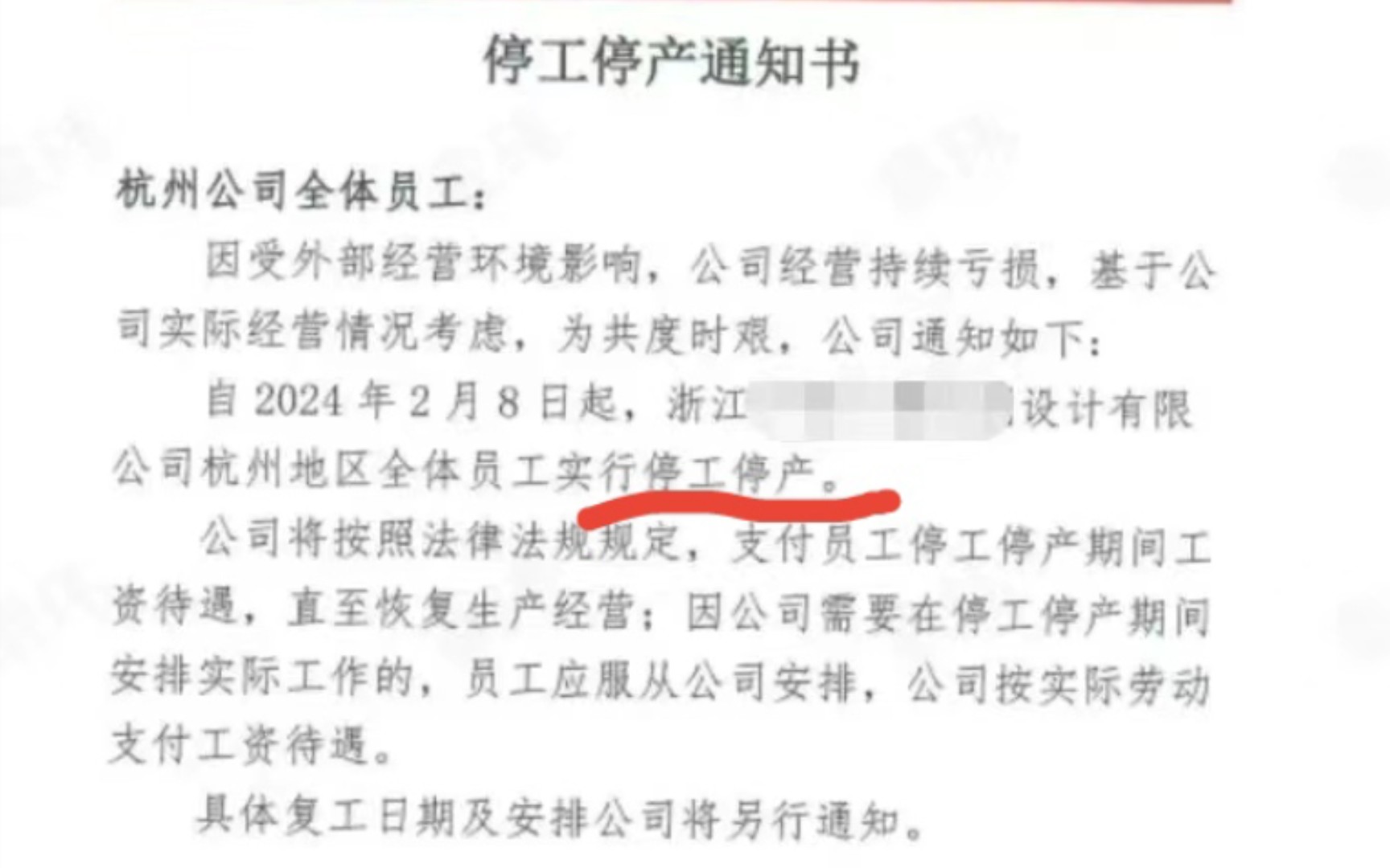 浙江某规划设计院自2024年2月8日起停工停产!哔哩哔哩bilibili