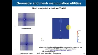 下载视频: OpenFOAM3.14 几何和网格操作