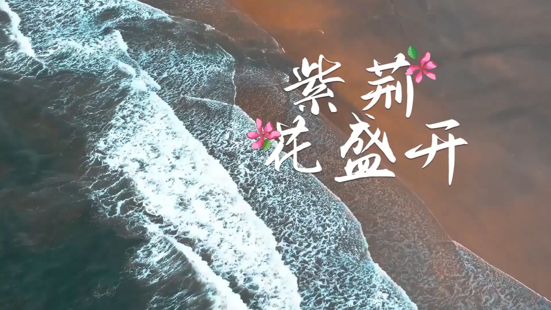 紫荆花盛开 伴奏 大屏幕LED背景视频
