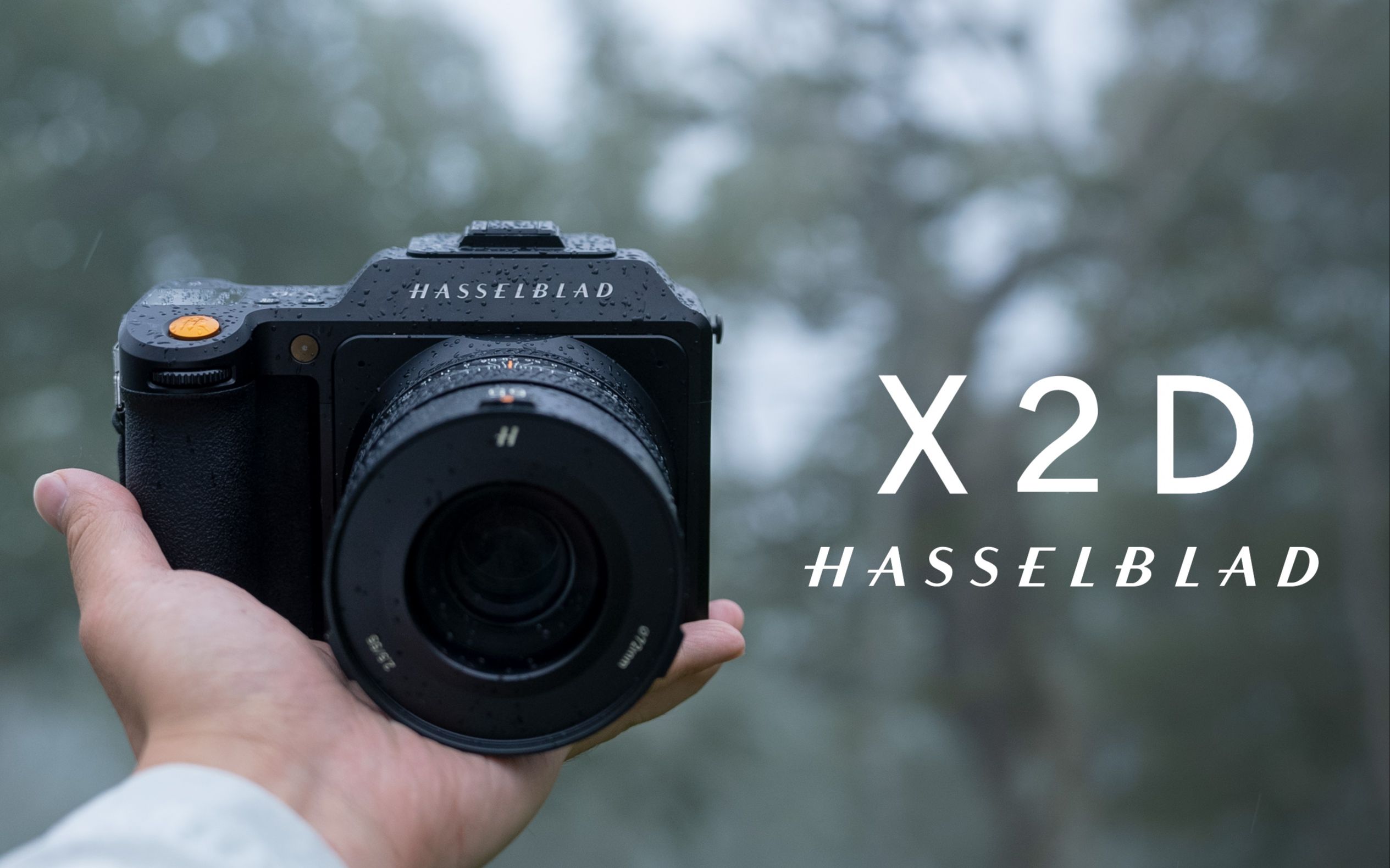 [图]一台不需要修图的相机｜哈苏 X2D 评测｜Hasselblad X2D