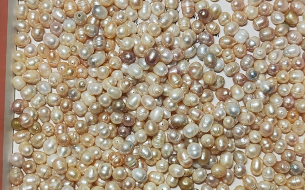 重瑕疵珍珠,一共733克,218包非偏