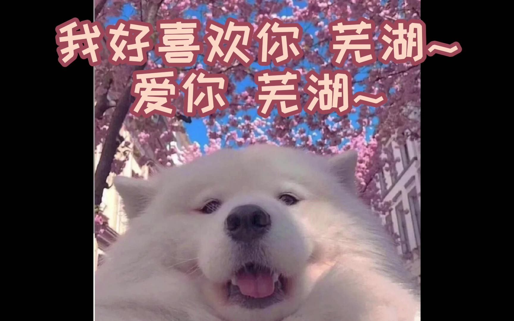 文艺复兴那些年我们听过的爱你芜湖双人