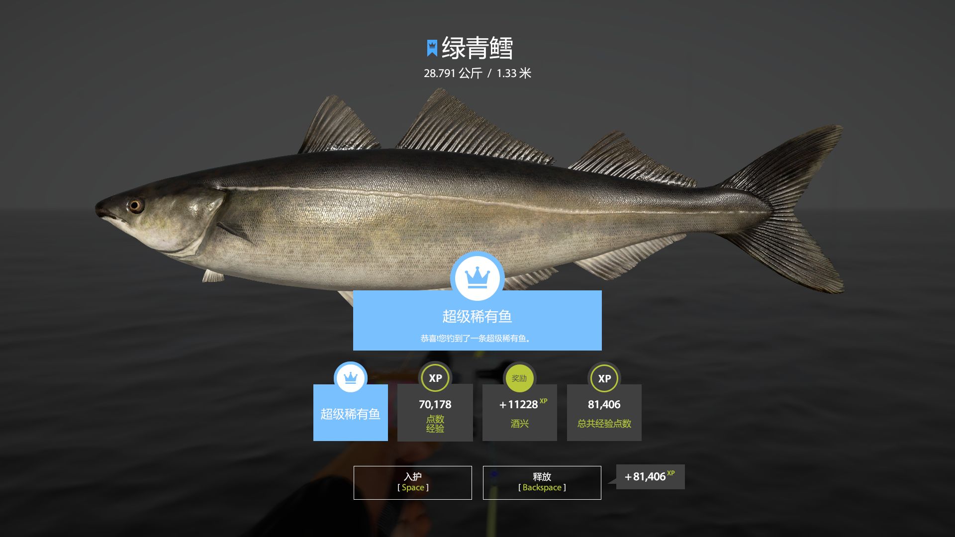 [俄罗斯钓鱼4] 蓝冠绿青鳕