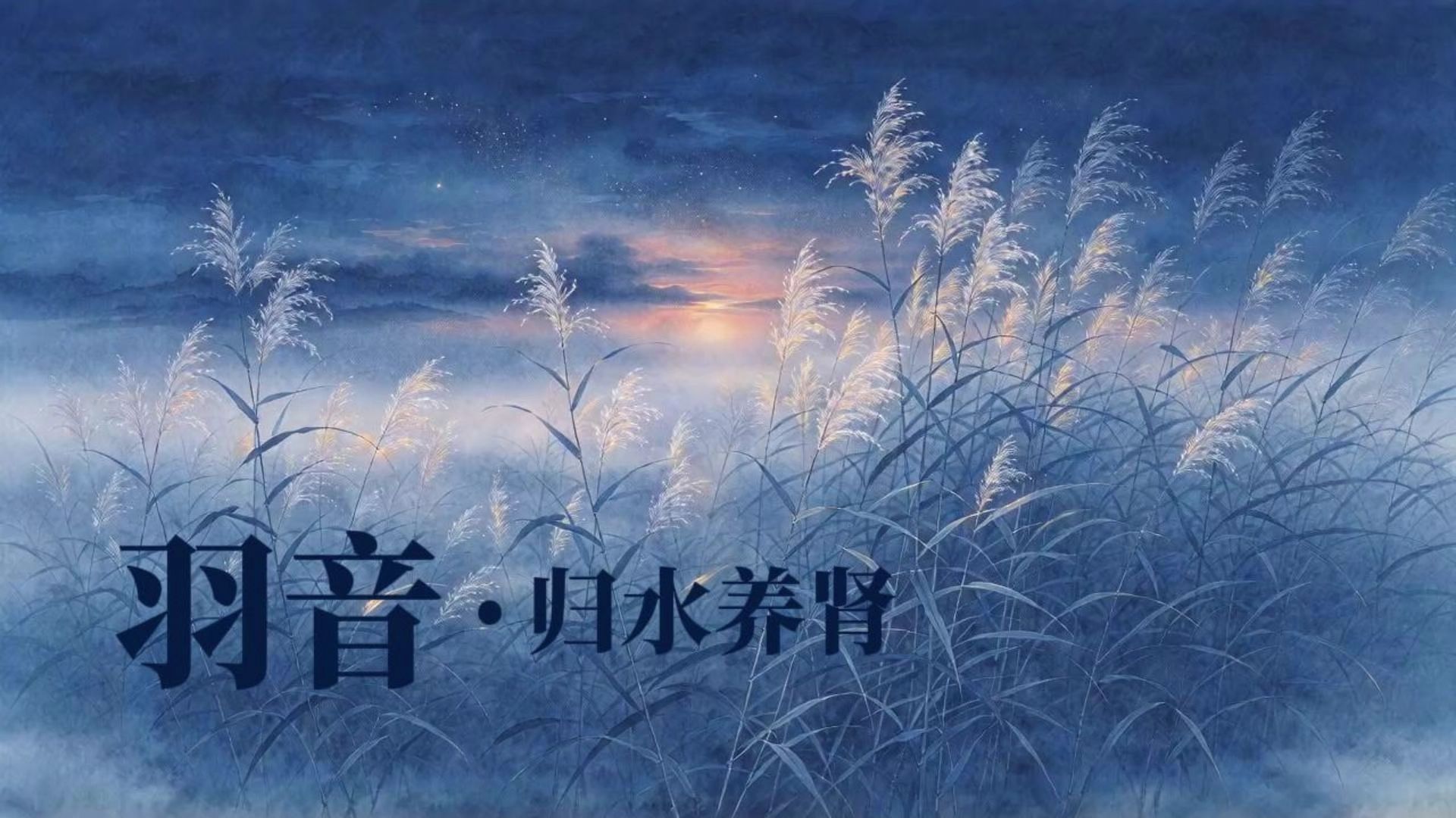 思绪纷乱时，听羽音沉入清寂之境。