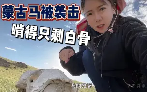 Download Video: 隐秘在草原下的未知！内蒙女汉子自驾，蒙古马被野兽啃食只剩白骨