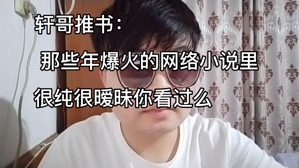 轩哥推书:那些年爆火的网络小说里,很纯很暧昧你有看过么哔哩哔哩bilibili