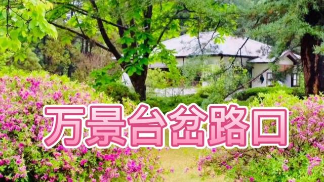 朝鲜电影插曲《万景台岔路口》,六o后草根激情翻唱!