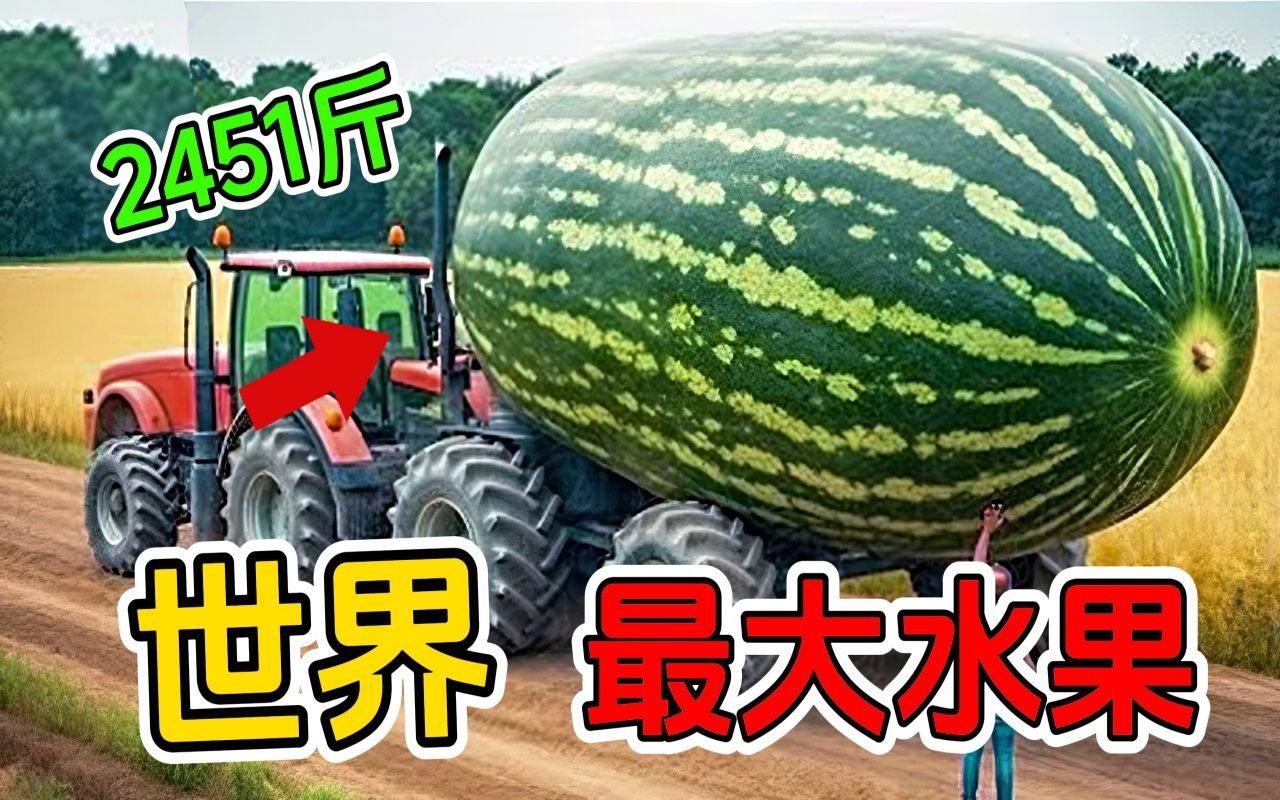 [图]全世界十种最大的水果蔬菜！第一名重达2451斤！堪比一辆汽车！