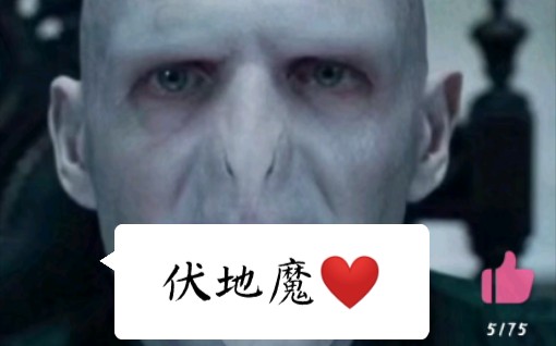 我和伏地魔的爱情故事