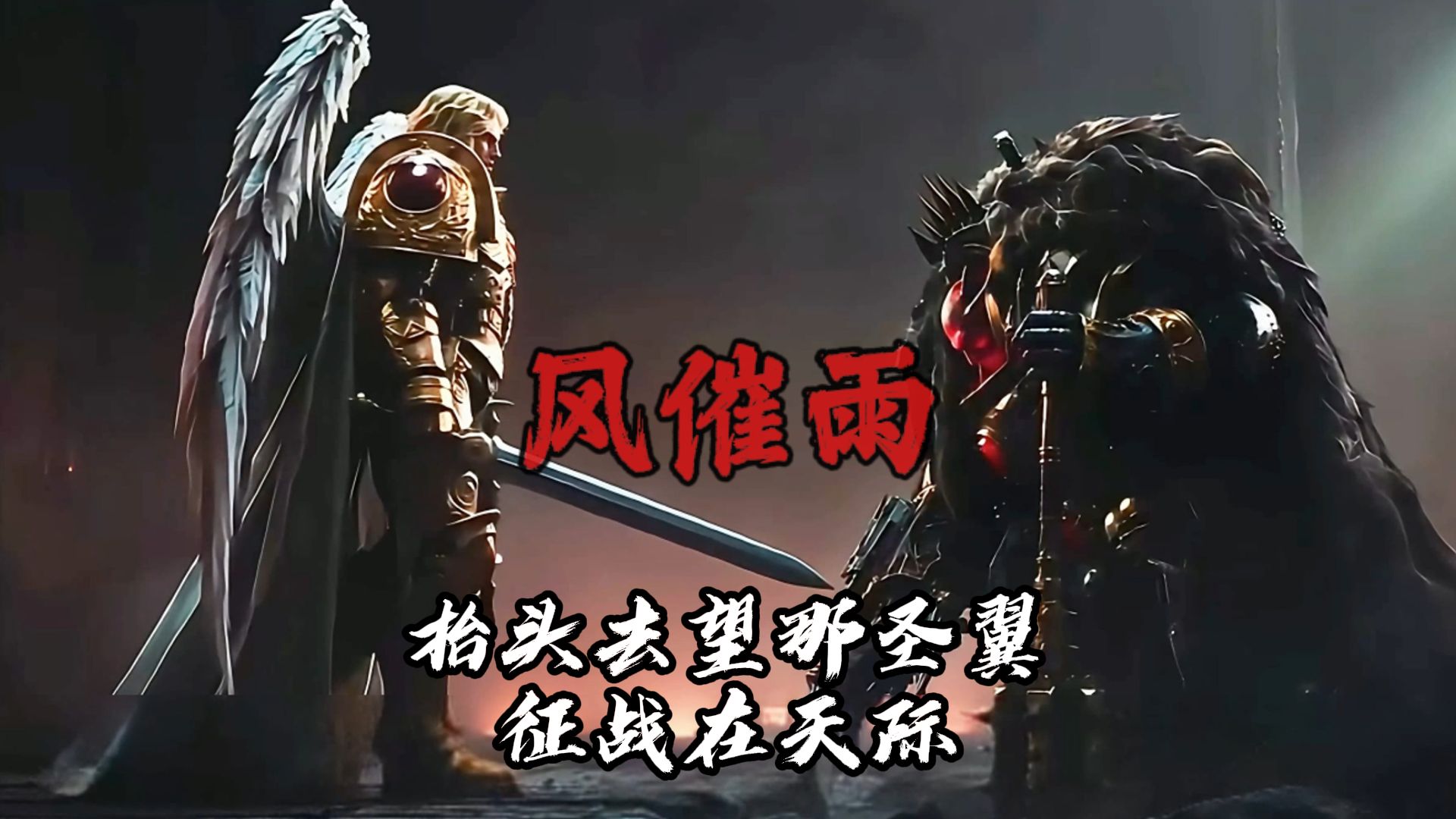 【战锤40k｜风催雨】抬头望尽那圣翼，征战在天际