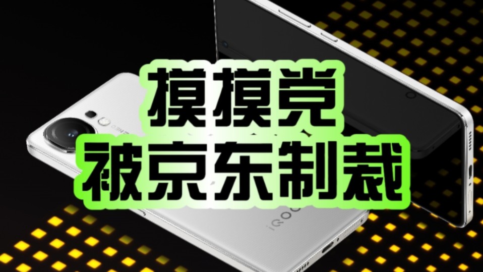 摸摸党退掉十几部手机后被京东制裁!网友:结局舒适了!哔哩哔哩bilibili