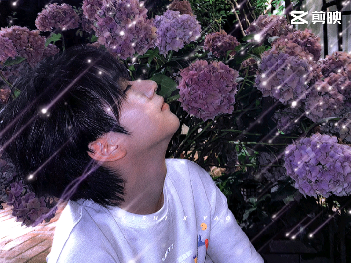 [贺峻霖]仙子风铃响