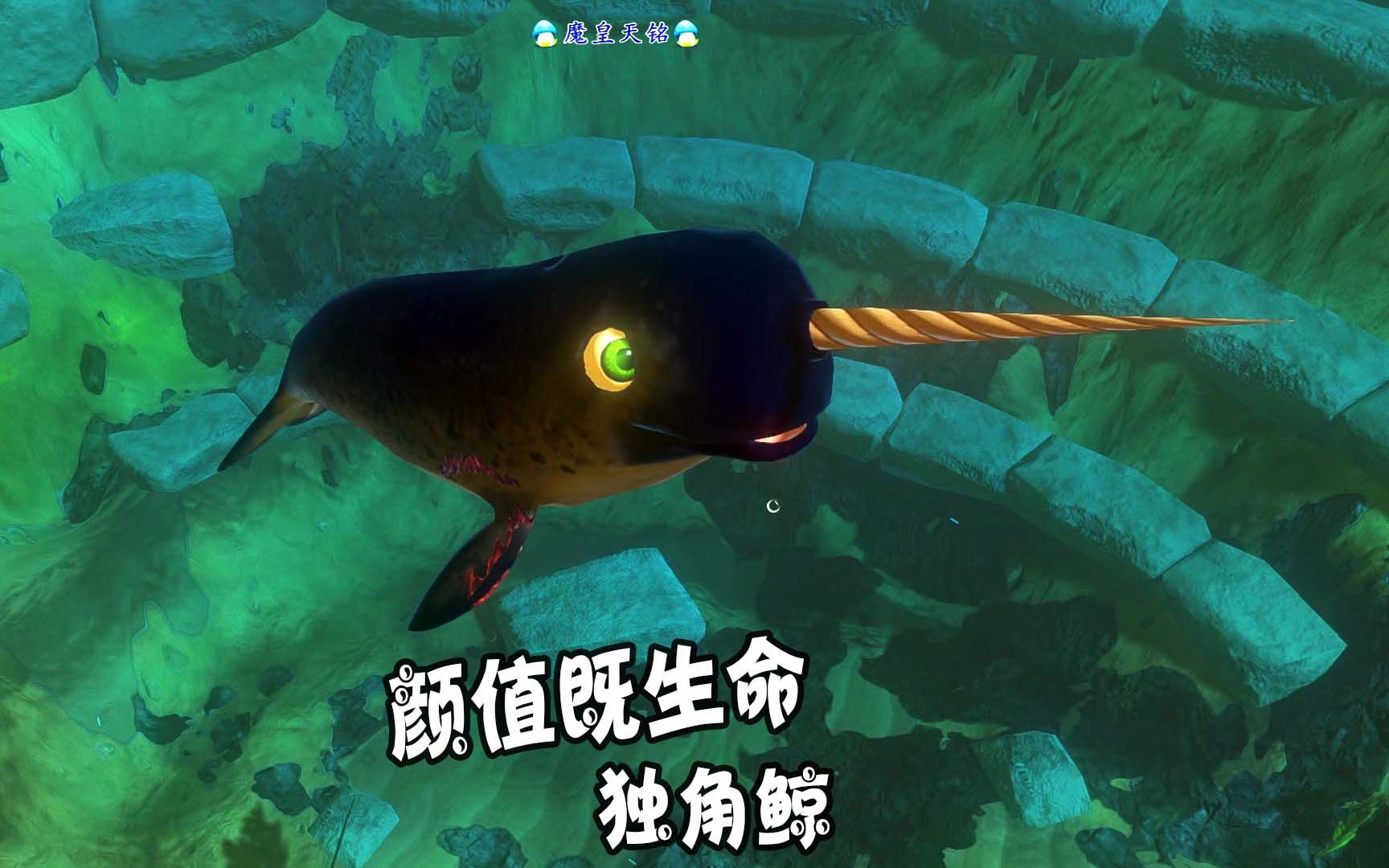天铭海底大猎杀第二季126最正经的神兽独角鲸