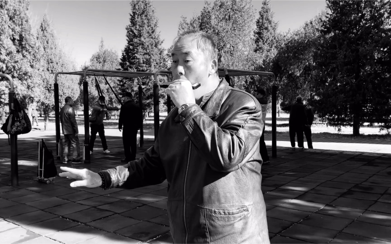 65岁天坛大爷口琴演奏《共和国之恋》,琴音阵阵,回忆翻涌