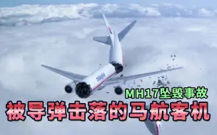 Download Video: 马航MH17客机被导弹击落，调查过程一波三折。《空中浩劫》MH17事件