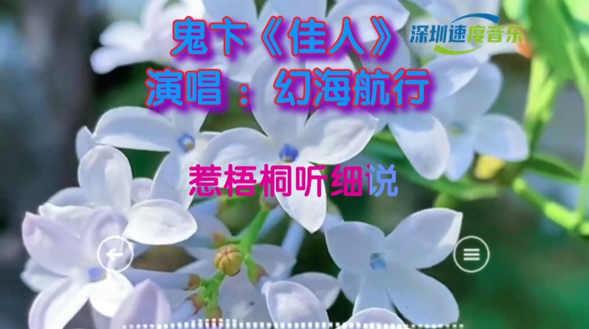 伤感情歌鬼卞《佳人》这首歌曲表达离情别恨 ,孤独忧愁 .