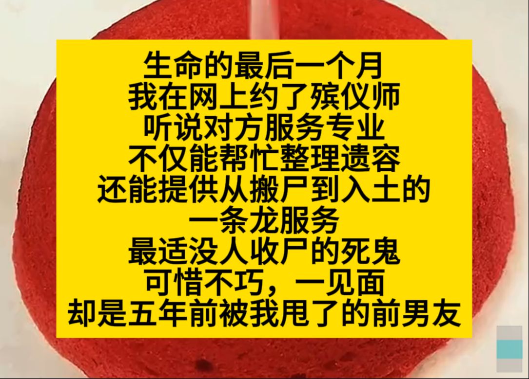 生命最后一月,我预约了殡仪师,对方能帮忙收尸,可谁知道,来的人是前男友……小说推荐哔哩哔哩bilibili