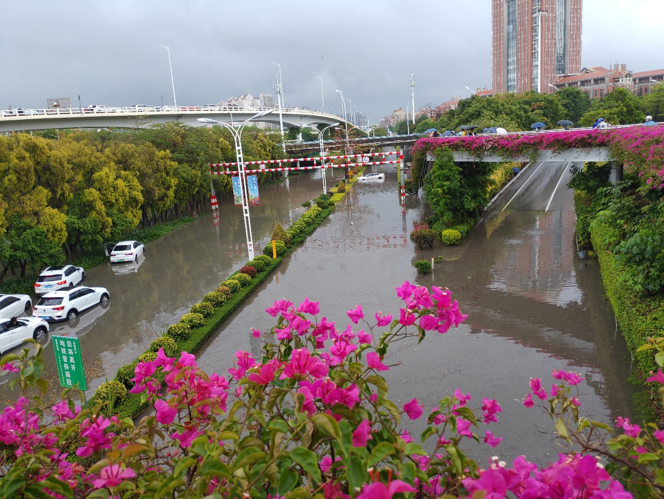 集美进岛下大雨就淹,城市建设看的见的很美丽,看不见的还是不够重视.哔哩哔哩bilibili