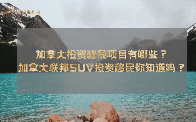 加拿大投资移民项目有哪些?加拿大联邦SUV投资移民你知道吗?哔哩哔哩bilibili