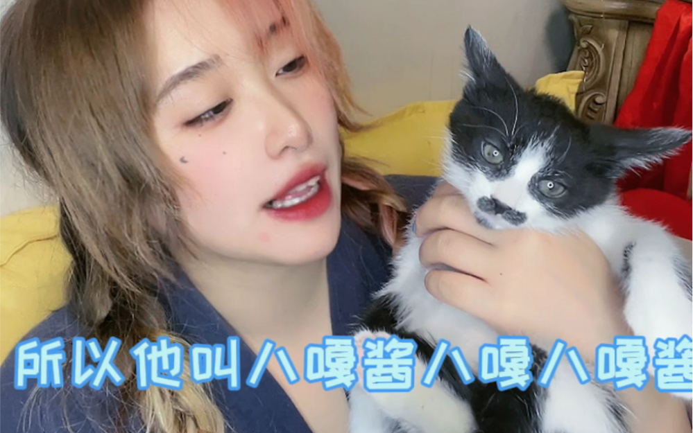 介绍一下我家小猫八嘎酱,和白丝!_哔哩哔哩_bilibili
