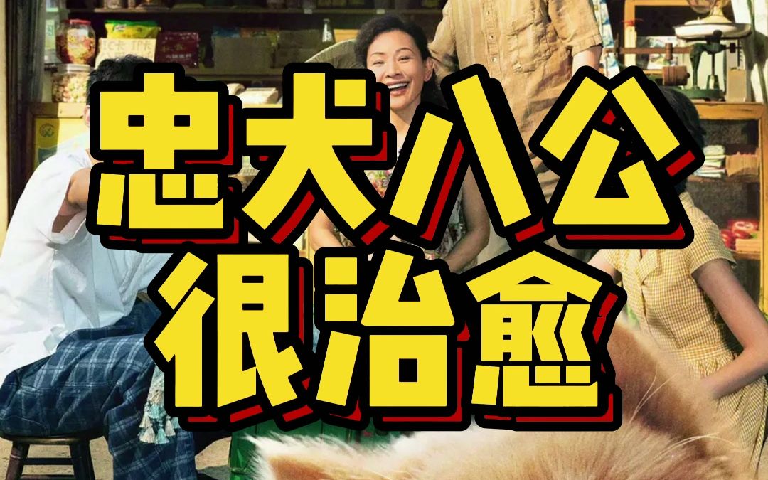 翻拍评分9.0以上的经典电影 实属需要很大勇气 忠犬八公这次翻拍比较成功 很治愈的一部电影#忠犬八公 #冯小刚 #陈冲哔哩哔哩bilibili