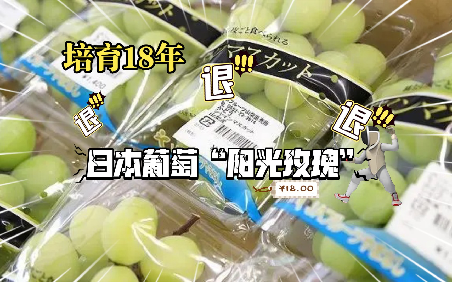 高端阳光玫瑰葡萄被“不正当带入”中国,导致日本每年损失100亿日元?情况到底如何?哔哩哔哩bilibili