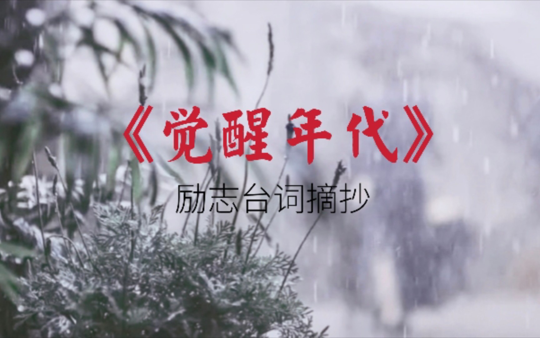 觉醒年代经典台词励志作文素材摘抄