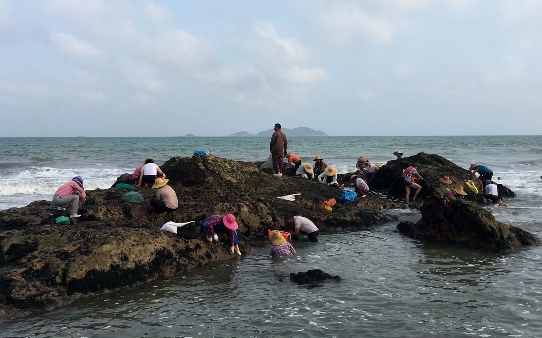 闲牛带你体验渔民的真实赶海生活这样场面只有大退潮时才有爽