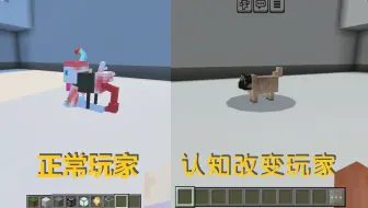 《一种基于MCBE的实体认知滤网设计》