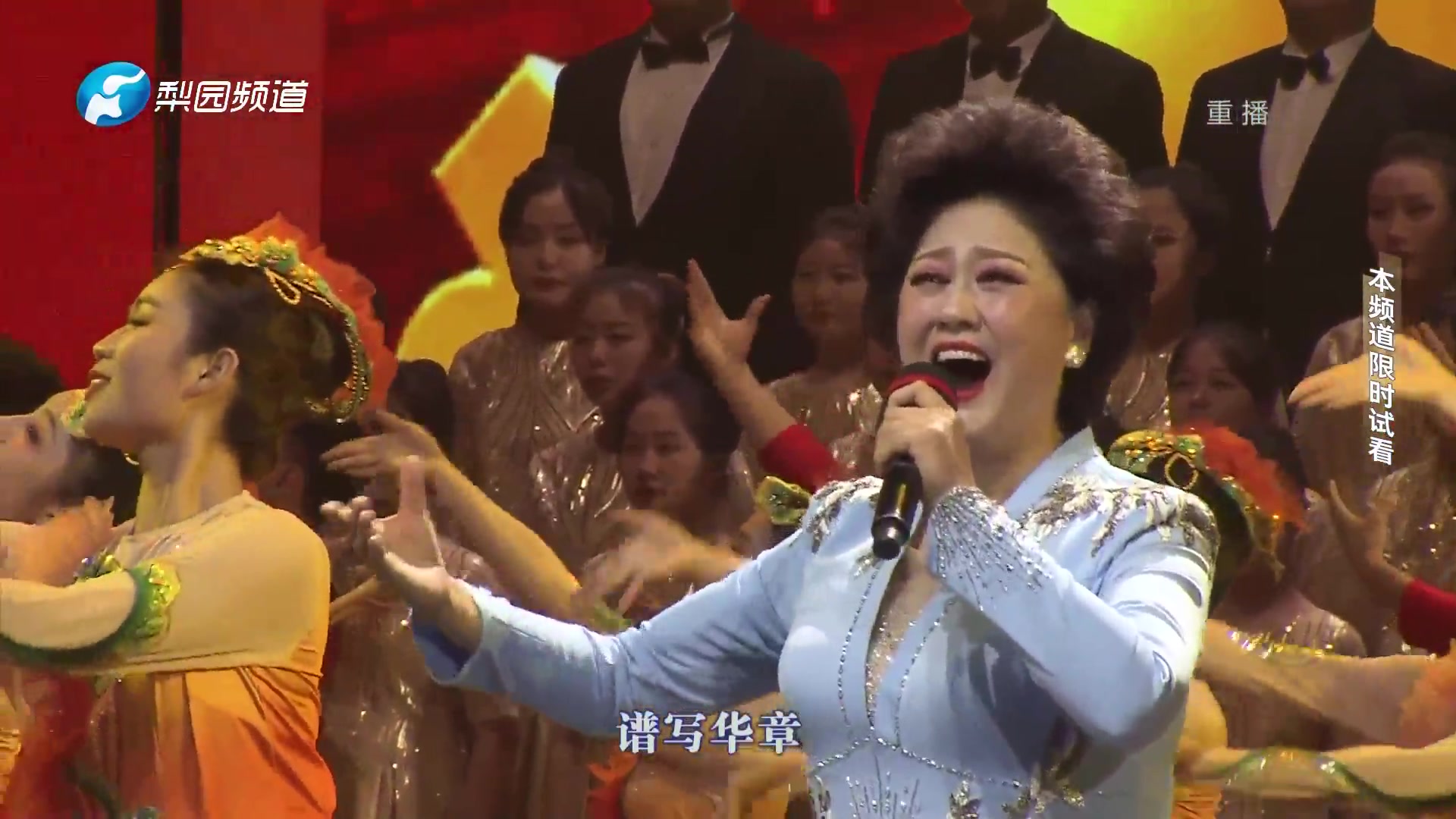 王惠豫剧演唱会