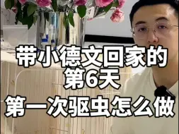 Download Video: 带小德文回家的第6天，第一次驱虫怎么做