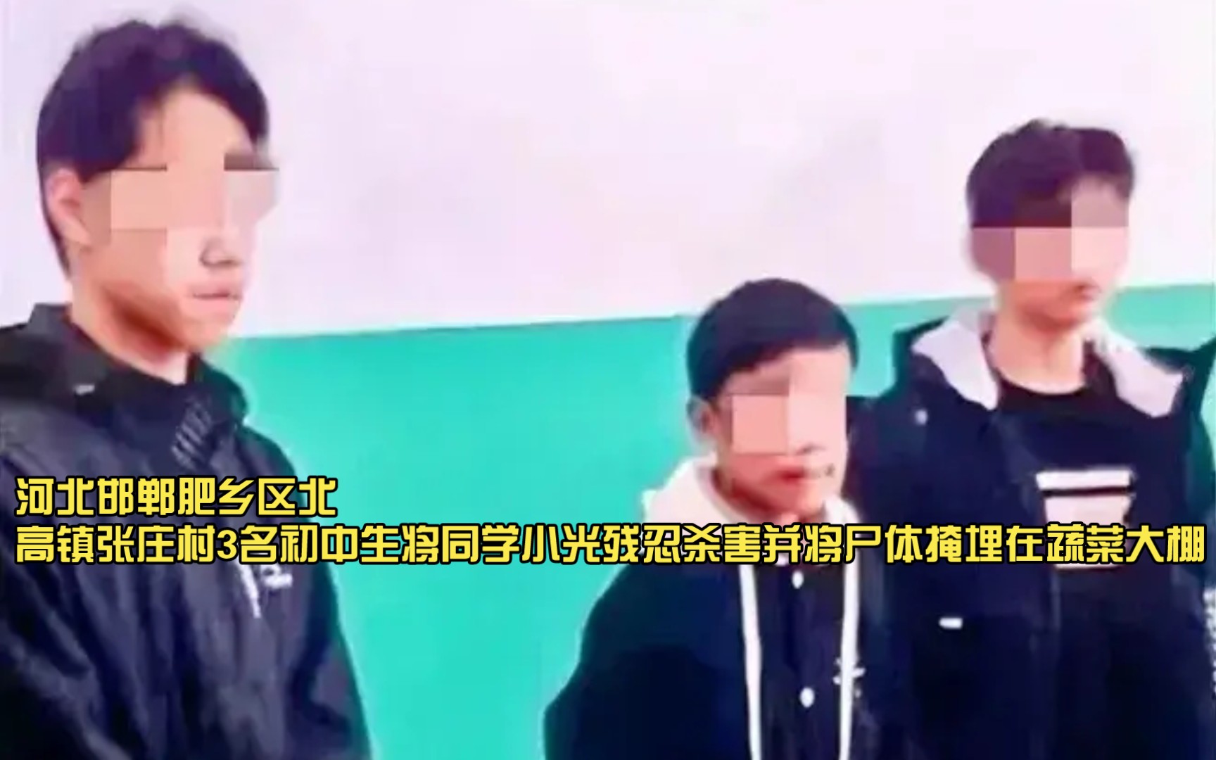 初中生杀害掩埋同学案,2024年3月10日,河北邯郸肥乡区北高镇张庄村3名