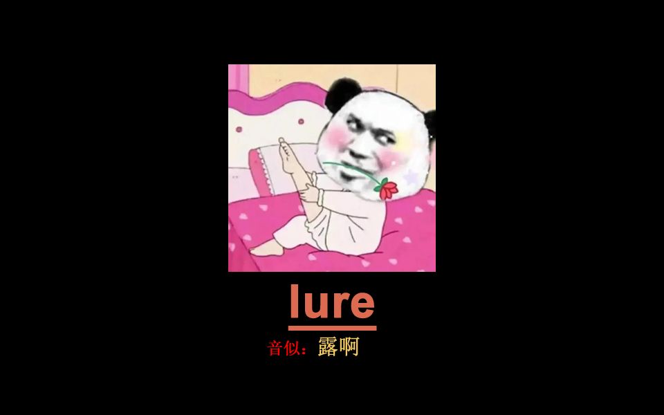 一秒记单词lure哔哩哔哩bilibili