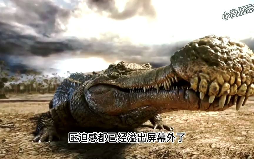 帝王鳄大战鲨齿龙,究竟路死谁手.