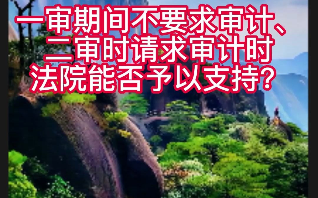 一审期间不要求审计、二审时请求审计时法院能否予以支持?哔哩哔哩bilibili