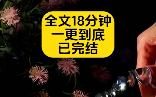 【完结文】我回国才知道,原来我是那个出国白月光,我磕着瓜子看他们他虐她她虐他,瓜子分我一半呗哔哩哔哩bilibili