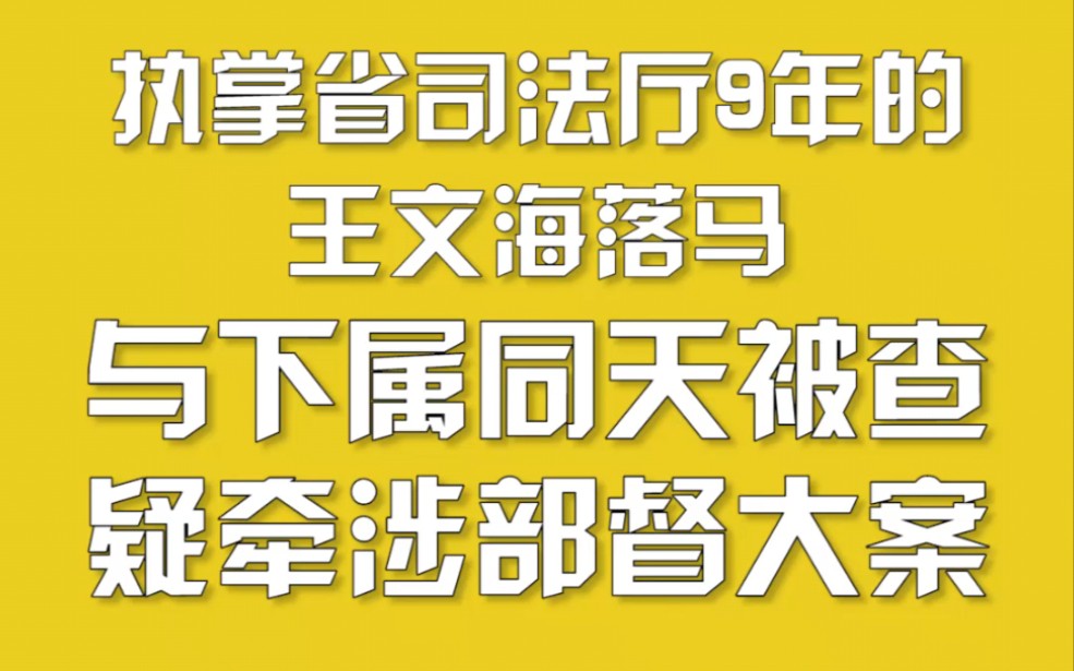 执掌省司法厅9年的王文海落马,与下属同天被查,疑牵涉部督大案哔哩哔哩bilibili