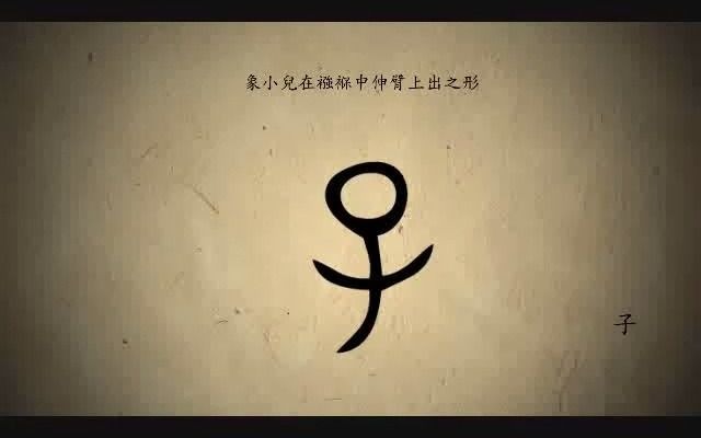 [图]漢字演變百例之“子”字