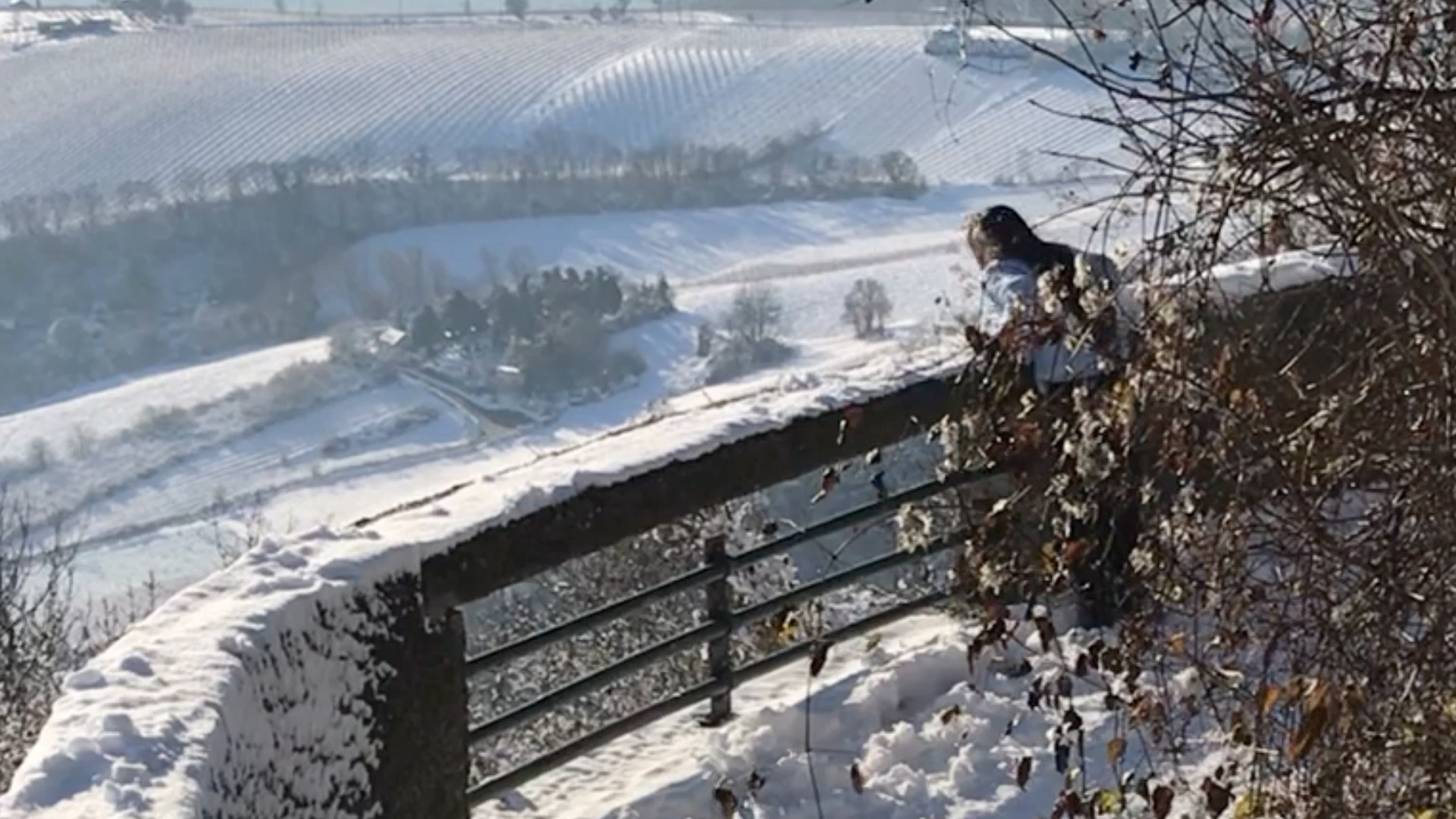 [图]钓雪