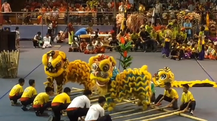 [图]还是那首日不落漫不经心舞，大西们跟着节奏跳起来，这次有点魔性了吧！该火了吧……哈哈