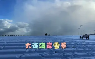 下载视频: 大连海岸雪景