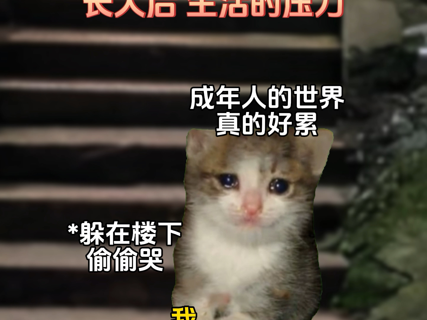 爱会在沉默中生长#故事源于网络#猫meme剧场#真实还原#童年#小猫哔哩哔哩bilibili