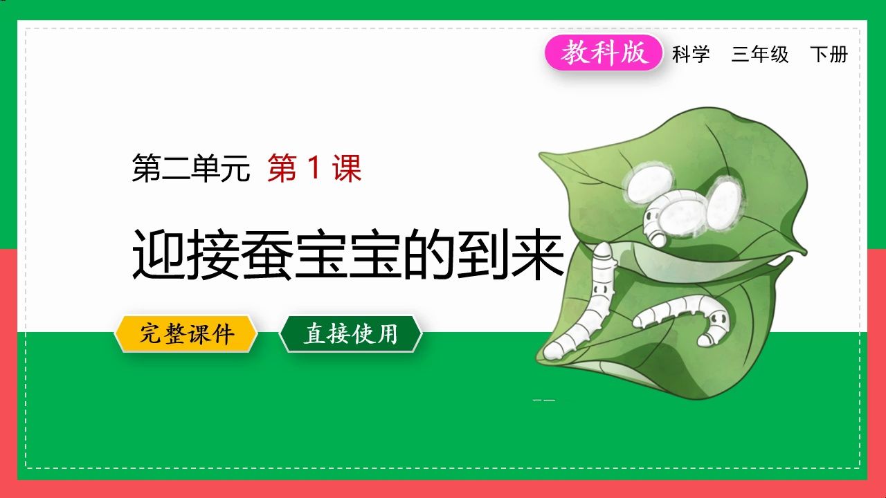教科版科学三年级下册迎接蚕宝宝的到来ppt课件