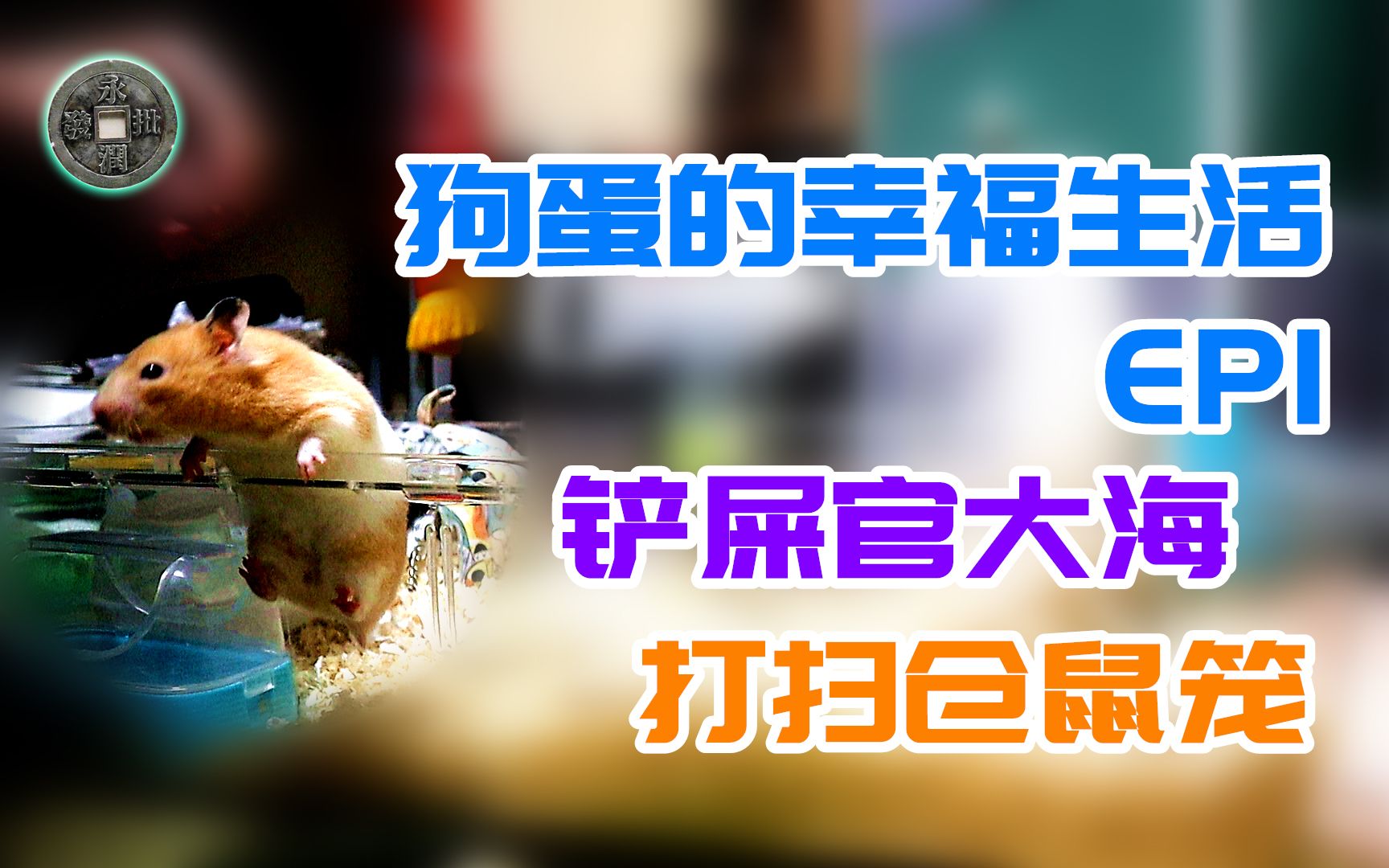 在日本的仓鼠奴的打扫日常(狗蛋的幸福生活ep1)_哔哩哔哩 (゜-゜)つロ