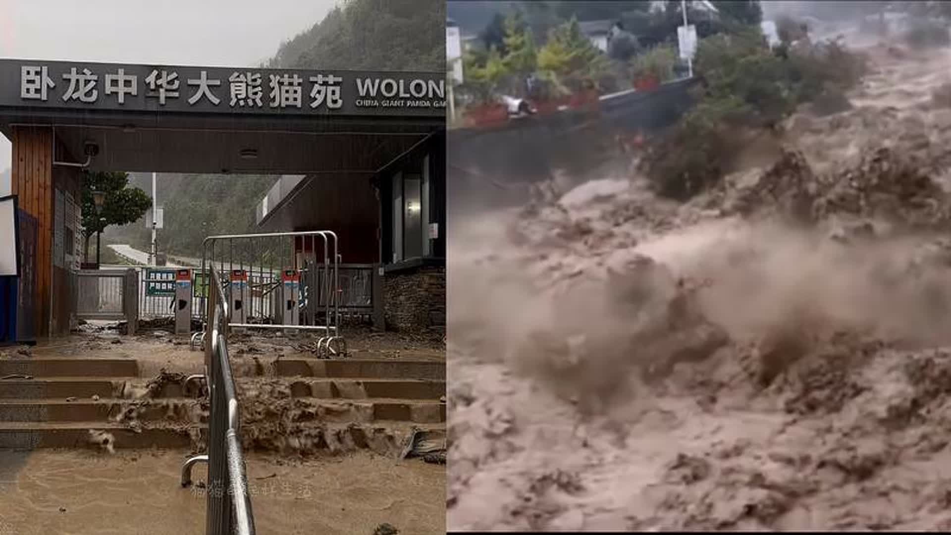 四川汶川突发泥石流,铁护栏直接被冲倒,熊猫中心卧龙神树坪基地闭园哔哩哔哩bilibili