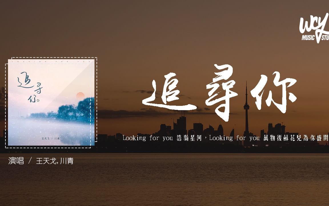 [图]王天戈,川青 - 追寻你「Looking for you 浩瀚星河，Looking for you 万物复苏花儿为你盛开」(4k Video)【動態歌詞/pīn