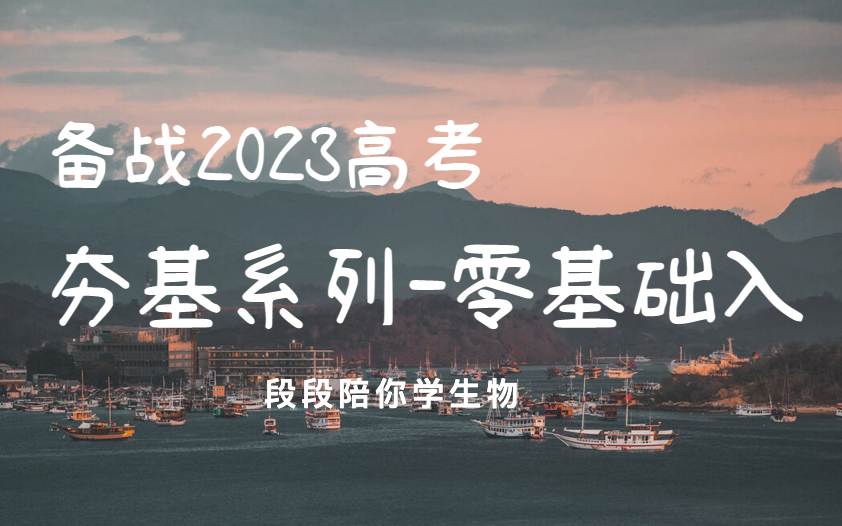 【生物高考2023】夯基系列为基础弱的同学准备哔哩哔哩bilibili