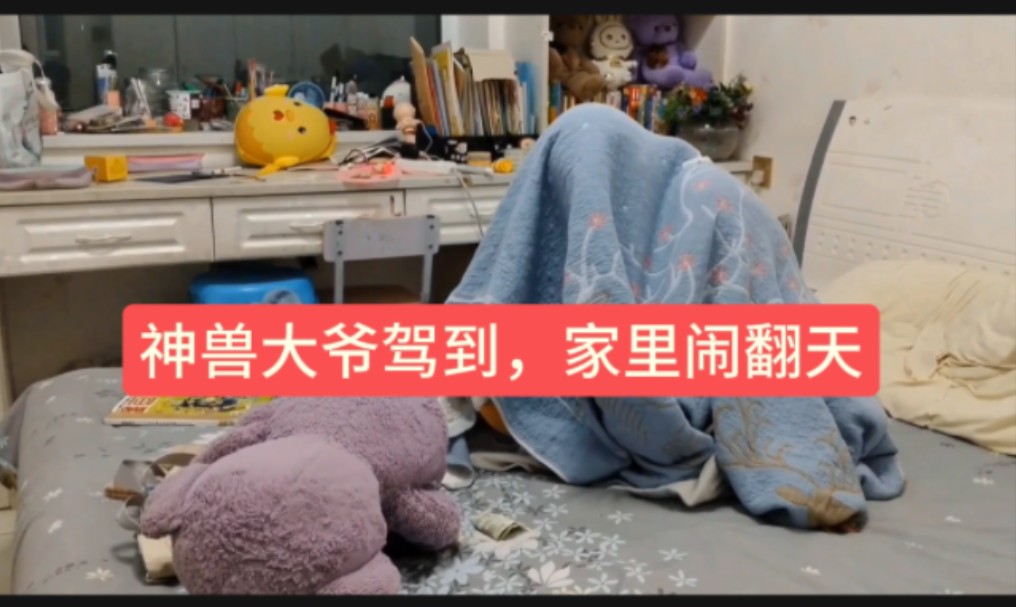 学生放假家长愁:神兽归巢,如何驯服啊?求支招#神兽#神兽在家#神兽在家