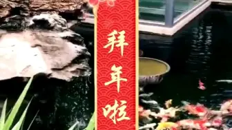 Download Video: 有生态活水鱼池过滤系统，才更好水好鱼好聚财，还是郑少秋贺年歌有年味㊗️各位新春快乐！年年有余！